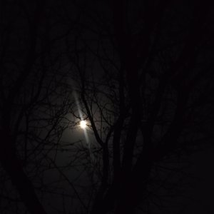 玉的忧伤