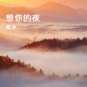 为什么那么傻