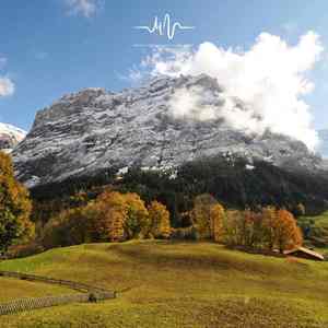 边境矢梦 (放松大脑古筝曲)