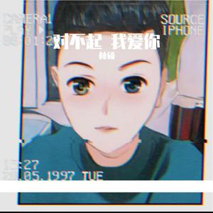 对不起我爱你 （翻自 1983）