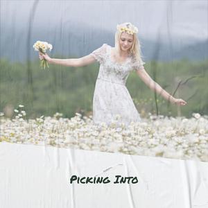 Picking Into