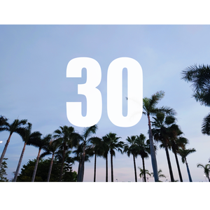 30天&特别(M&M Remix)