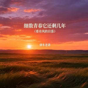 细数青春它还剩几年（看有风的日落）