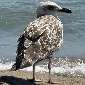 club toilette: weniger is' mehr