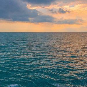 P海去浪