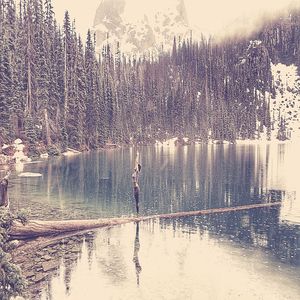 微妙的泰式按摩心情