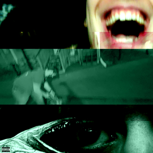 Nerve
