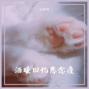 酒暖回忆思念瘦