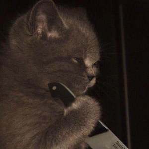 闹？（Prod.by VanillaParty）