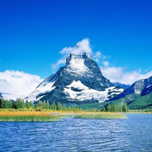 随风起舞的落叶 轻轻触碰我心弦