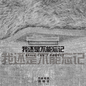 我还是不能忘记