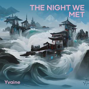 THE NIGHT WE MET
