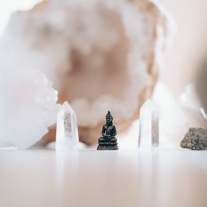 Grounding Meditation In the Woods