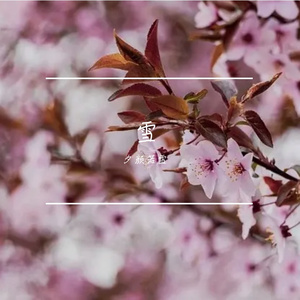 红色高跟鞋（片段）