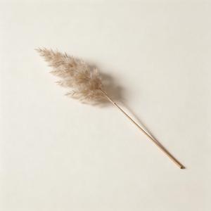 静悄悄（肉麻的调调你不会知道）