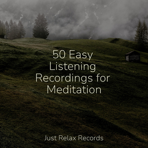 Ascending Fog's Lullaby