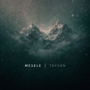 Mesele