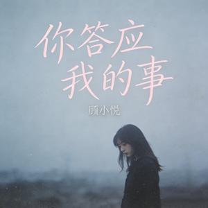 你答应我的事(伤感女声)