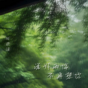 说好雨停不再想你 (伴奏)