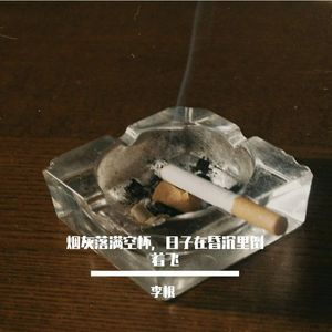烟灰落满空杯，日子在昏沉里倒着飞