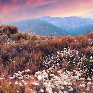 眼泪干涸的时候