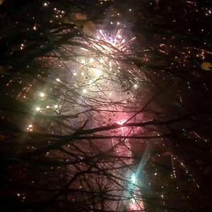 ❈✶⭑fireworks⭒❋✹