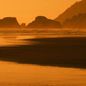 愿你在新的学期被老师每天表扬