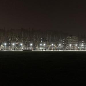 多情种
