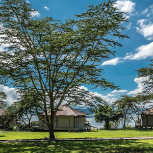 Pupurihin Ka Sa Awit