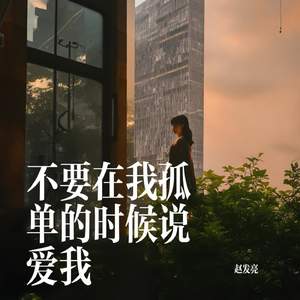 不要在我孤单的时候说爱我