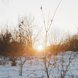Холодное солнце зимы