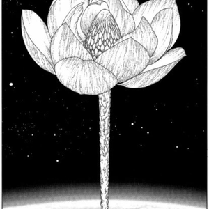 末日中的花Prod by.Nitemare$