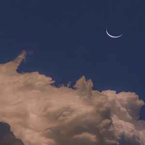 落叶随着风飘走