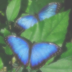 You Are Safe and Loved, to The Stars And Back