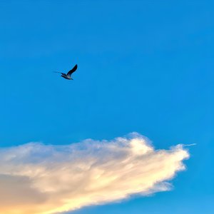 2025秋月夜.wav