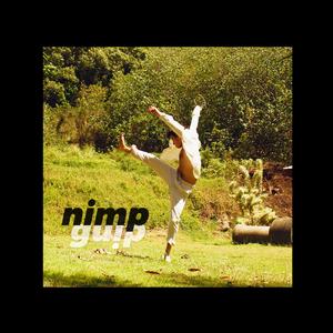 NIMP (Version GUIP)
