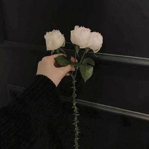 不知所措（翻自 王靖雯）