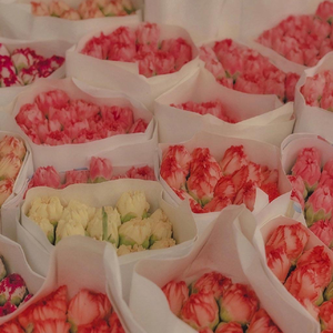 大鱼1648968608274_new