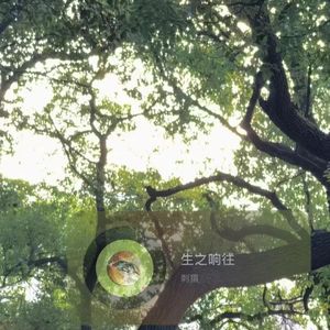 赠我无目的旅行的奇迹