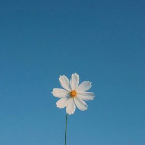 痛苦的爱（难熬版）