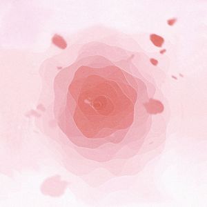 一切终会有回甘