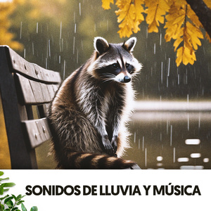 Tranquil Rainfall Tales