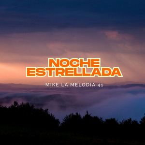 Noche Estrellada