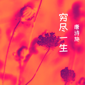 穷尽一生