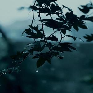 Ecelin Bahanesi (Demo Versiyon)