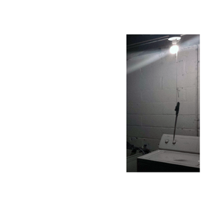 Miniatures (Edit) / Data*