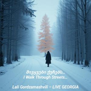 მივყვები ქუჩებს და არ ვიცი რა მინდა