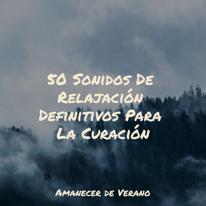 Suavidad Calmante Bajo las Estrellas