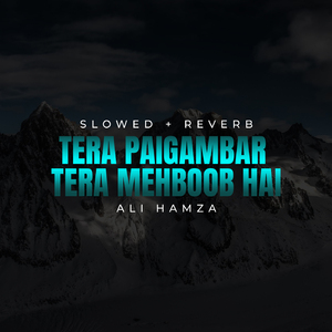 Tera Paigambar Tera Mehboob Hai Lofi