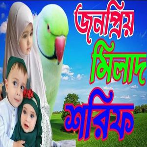 জন প্রিয় মিলাদ শরীফ। মিলাদ মাহফিলের মিলাদ শরীফ